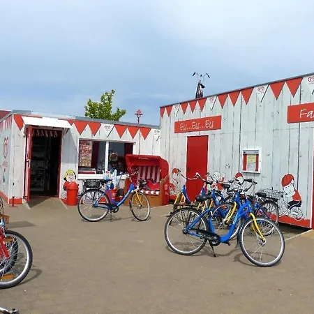 Ferienhaus-sonnenblume *