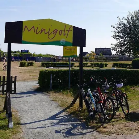 Ferienhaus-sonnenblume *