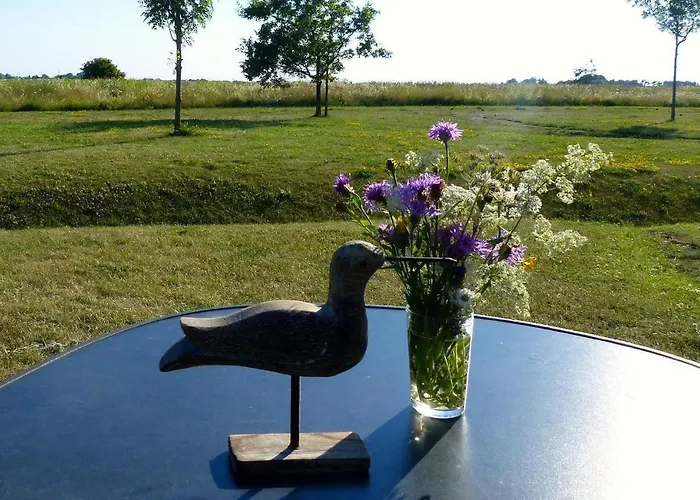 Ferienhaus-sonnenblume