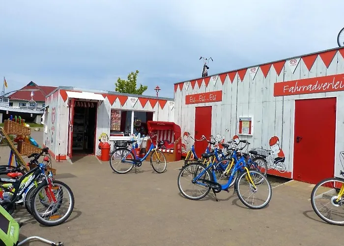 Ferienhaus-sonnenblume *