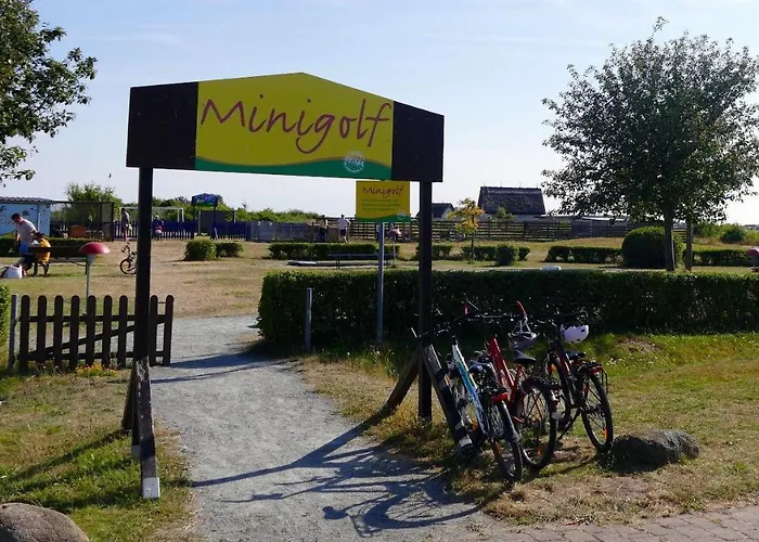 Ferienhaus-sonnenblume *